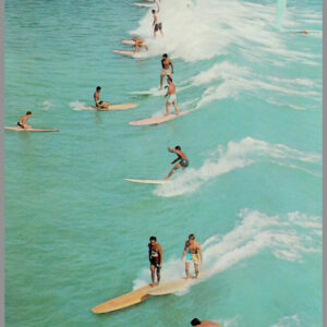 Island Life - Hawaii - Postcard Unposted #5