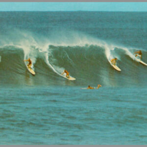 Island Life - Hawaii - Postcard Unposted #6