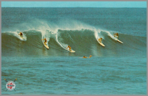 Island Life - Hawaii - Postcard Unposted #6
