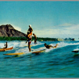 Island Life - Hawaii - Postcard Unposted #7