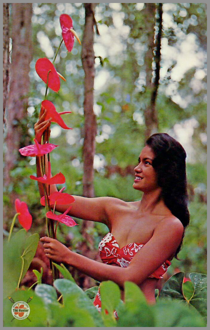 Polynesian Beauty - Hawaiian Wahine Series - Postcard Unposted #4 Polynesian Beauty - Hawaiian Wahine Series - Postcard Unposted #4