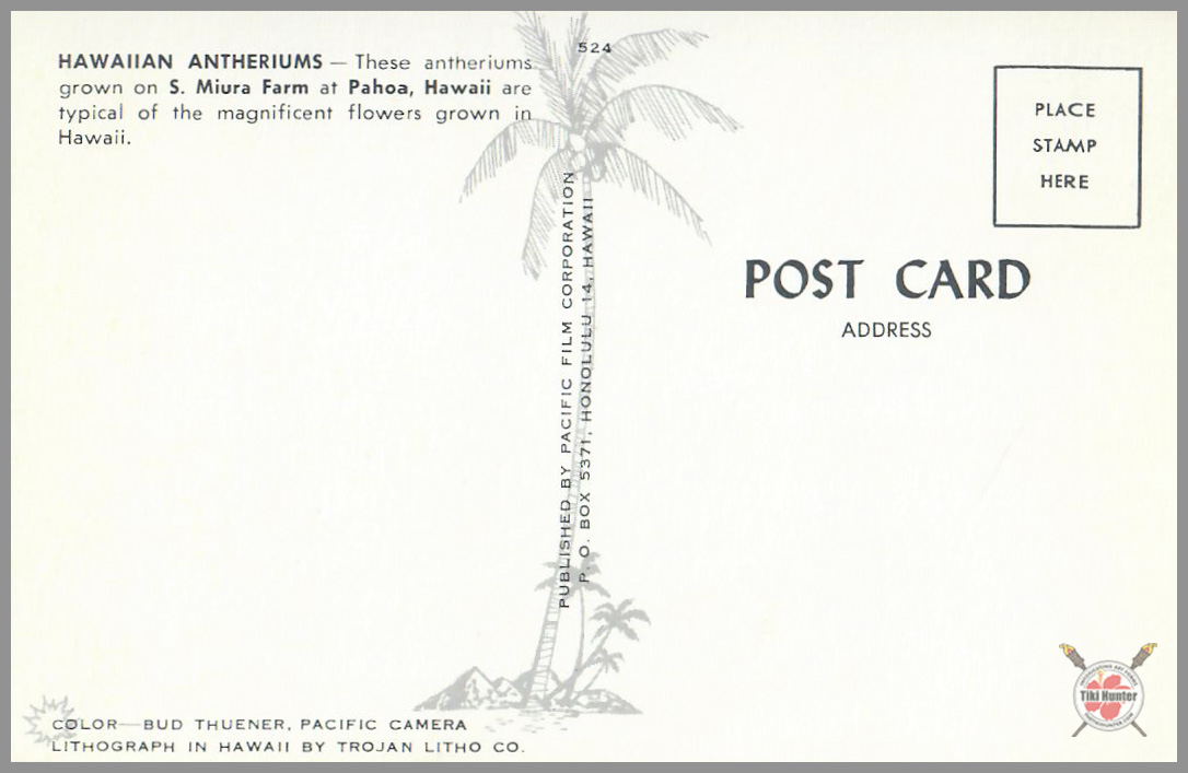 Polynesian Beauty - Hawaiian Wahine Series - Postcard Unposted #4 Polynesian Beauty - Hawaiian Wahine Series - Postcard Unposted #4