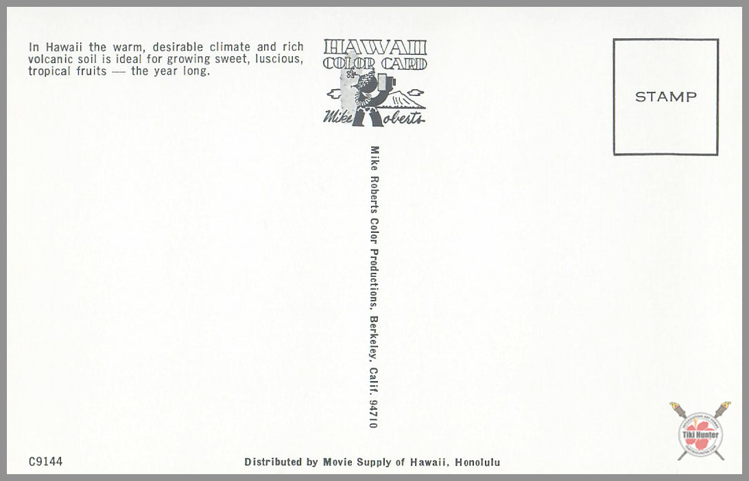 Polynesian Beauty - Hawaiian Wahine Series - Postcard Unposted #6 Polynesian Beauty - Hawaiian Wahine Series - Postcard Unposted #6