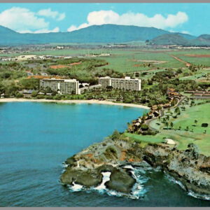 Polynesian Tiki Resort - Kauai Surf Hotel - Postcard Unposted #4